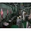 青岛建华食品机械制造有限公司-猪同步卫检