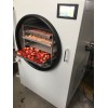 草莓冻干机生产厂家